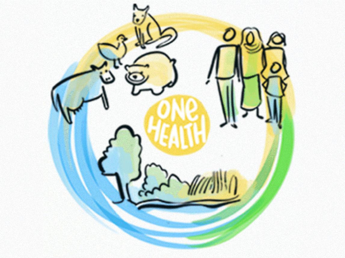 Introduction to One Health